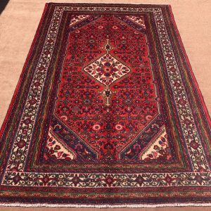 Handmade Red Wool Area Rug 6.9x10.3 ft – Full View